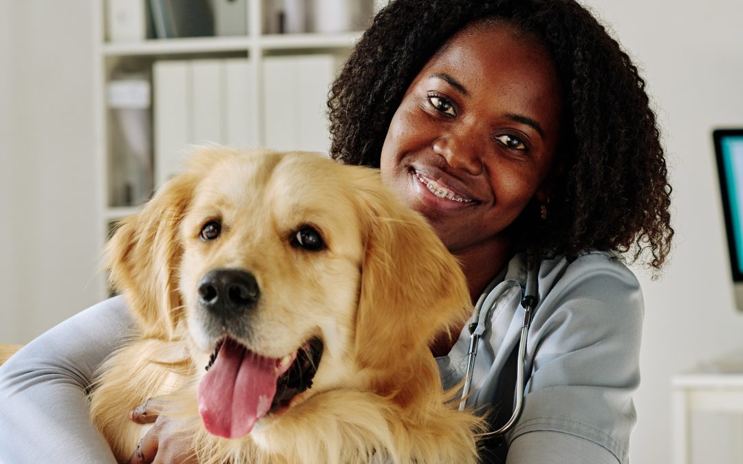 veterinarian smiling at camera while embracing retriever dog at clinic