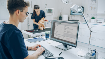 Veterinary Technician order a teleradiology report from Vetology in a clinic with a feline patient behind.