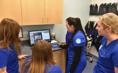 Veterinary Technology Students Collaborate with Vetology on AI Software