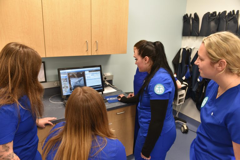 students of Massasoit Community College Tech School gathered around a computer showing vetology's platform.