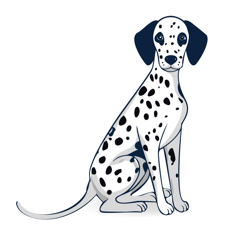 illustration of a Dalmatian puppy sitting