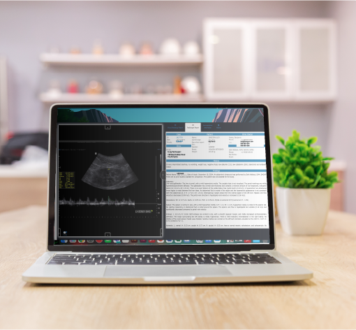 vetology's platform featuring an ultrasound and report on a laptop in a clinic