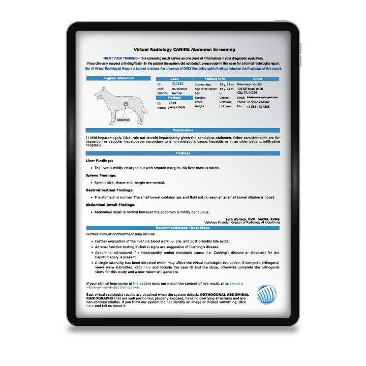 AI report on ipad image of Vetology's AI report featured on a tablet or ipad