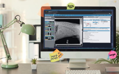 Controlling Costs With Veterinary Teleradiology