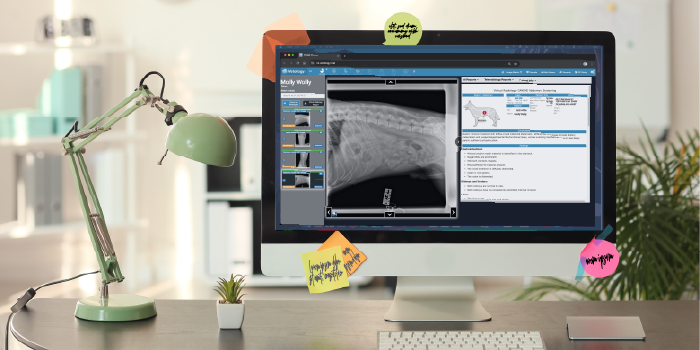 Vetology screening report loaded on monitor