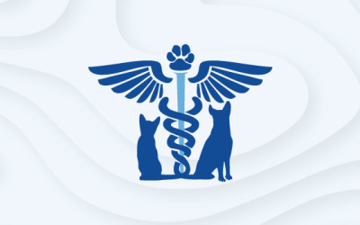 Ethical AI in Veterinary Imaging