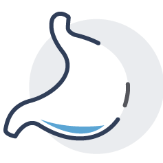 stomach icon