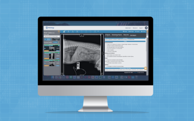 Radiology Support Built for the Way Veterinarians Work
