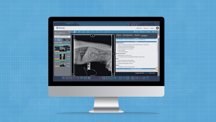 Vetology platform on screen