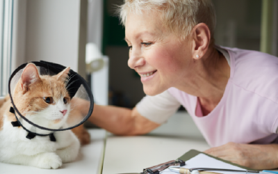 How to Read AI Metrics Like a Confident Veterinarian