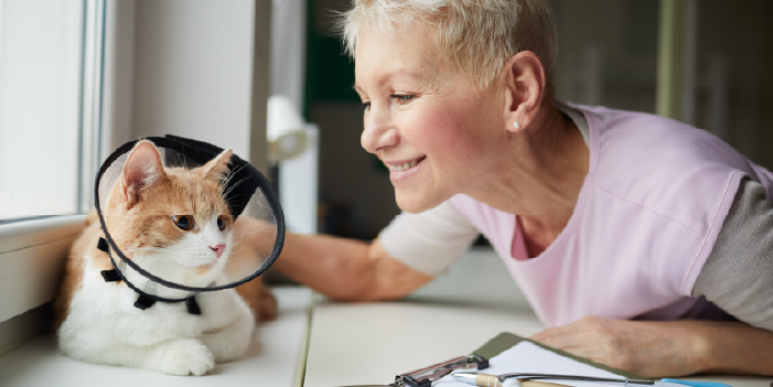 How to Read AI Metrics Like a Confident Veterinarian