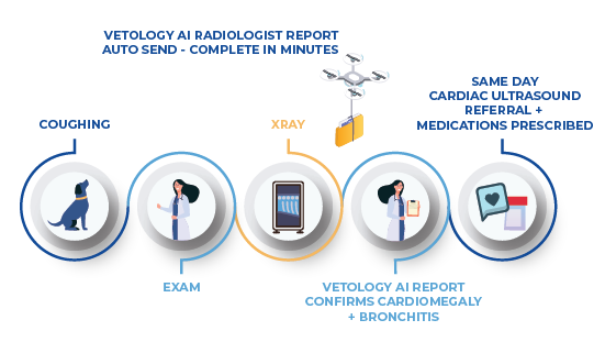 icon graphic showing the veterinary diagnostic imaging workflow with AI