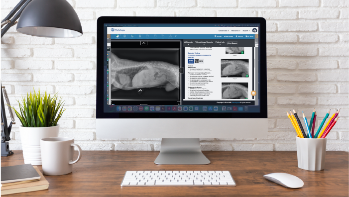 When You and the AI Radiology Report Disagree